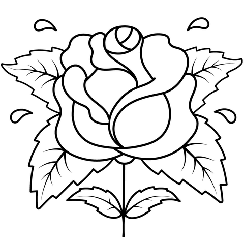 Rose Coloring Page Md copy Coloring Page — Free Printable — free printable coloring page